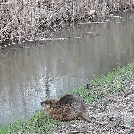 Spreewald-ferienwohnung Reschke アパート *