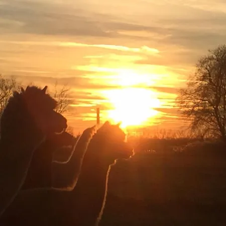 Spreewald-ferienwohnung Reschke Radensdorf