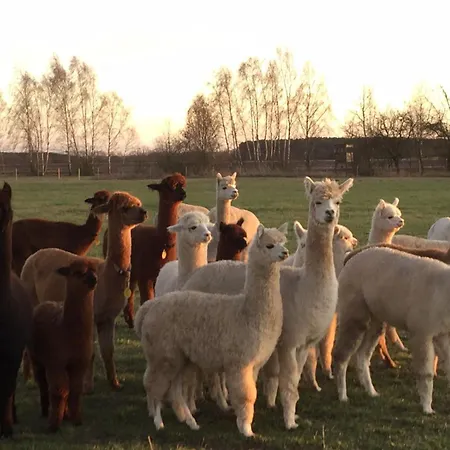 Spreewald-ferienwohnung Reschke * Radensdorf