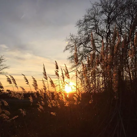 Spreewald-ferienwohnung Reschke