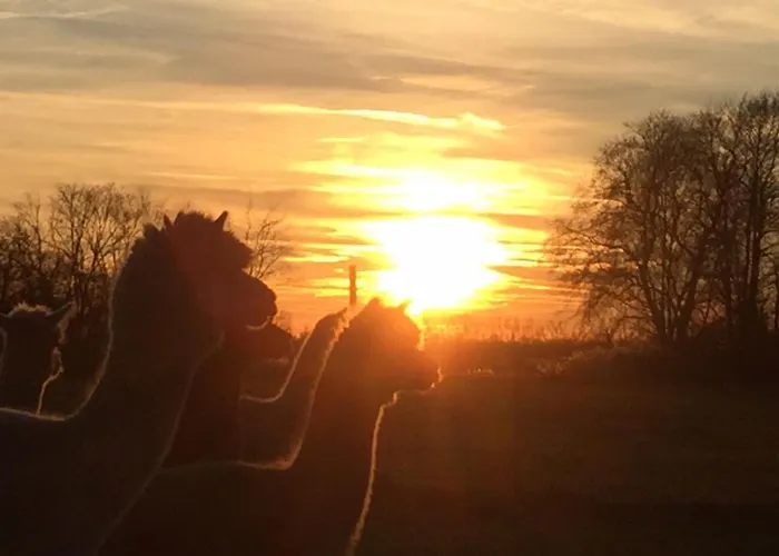 Spreewald-ferienwohnung Reschke Radensdorf