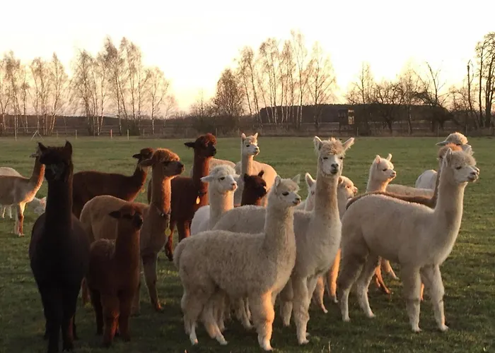 Spreewald-ferienwohnung Reschke * Radensdorf
