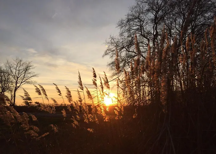 Spreewald-ferienwohnung Reschke